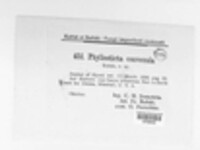 Phyllosticta convexula image
